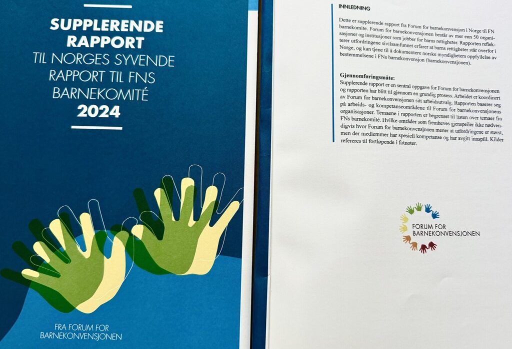 OMEP Norge rapport 2024 for FNs barnekonferanse, barnekonvensjonen, barnevern, barns rettigheter.