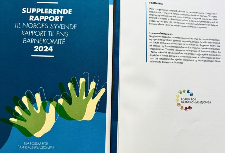 OMEP Norge rapport 2024 for FNs barnekonferanse, barnekonvensjonen, barnevern, barns rettigheter.